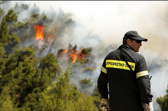 Image: Πυροσβέστες από την Κρήτη  στη μάχη με τις φλόγες στην Αττική