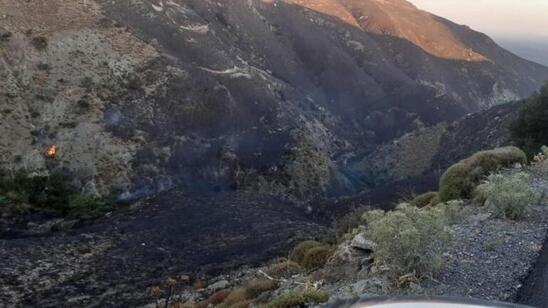 Image: Πρέβελη: Υπό πλήρη έλεγχο η φωτιά που απείλησε το Φοινικόδασος