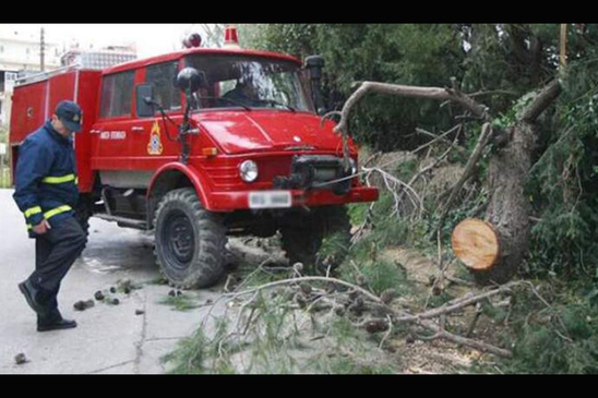 Image: Τραυματίστηκε ηλικιωμένος από πτώση δέντρου στο Ηράκλειο